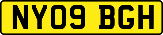 NY09BGH