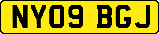 NY09BGJ