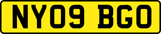 NY09BGO