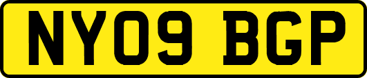 NY09BGP