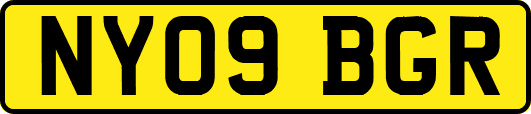 NY09BGR