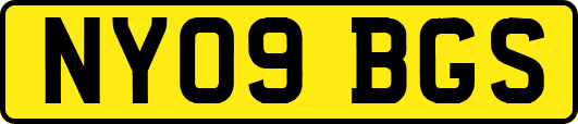 NY09BGS