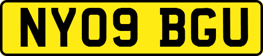 NY09BGU