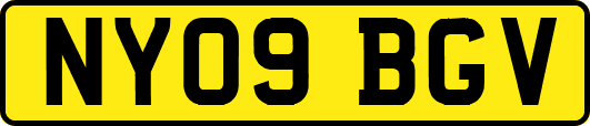 NY09BGV