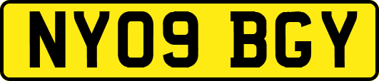 NY09BGY
