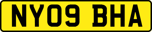 NY09BHA