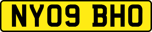 NY09BHO