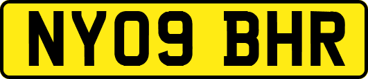 NY09BHR