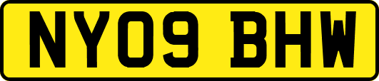 NY09BHW