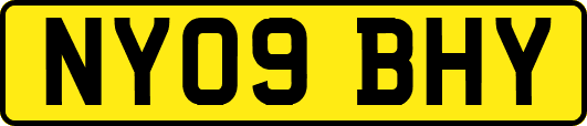 NY09BHY