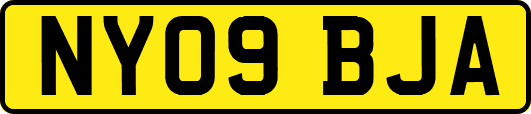 NY09BJA