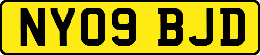 NY09BJD