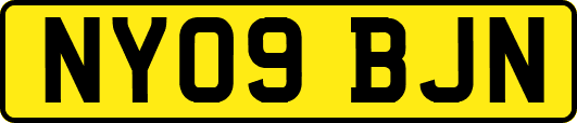 NY09BJN