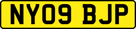 NY09BJP
