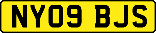 NY09BJS