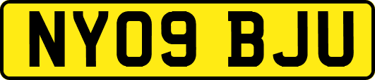 NY09BJU