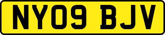NY09BJV