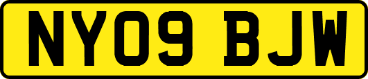 NY09BJW