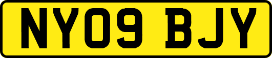 NY09BJY