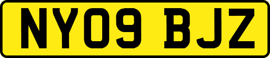 NY09BJZ