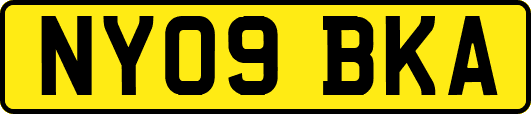 NY09BKA