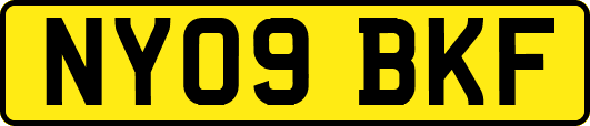 NY09BKF
