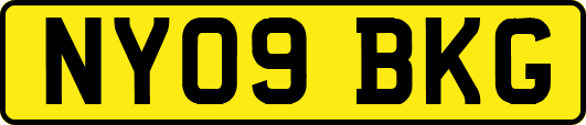 NY09BKG