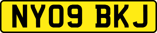 NY09BKJ