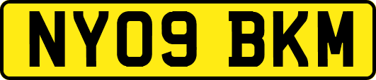 NY09BKM
