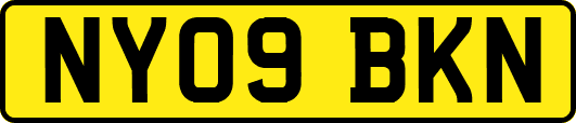 NY09BKN