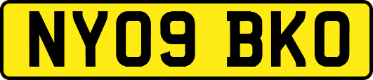 NY09BKO