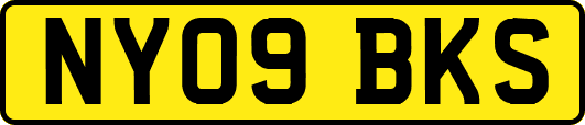 NY09BKS