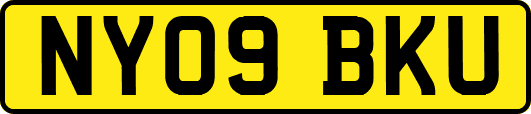 NY09BKU