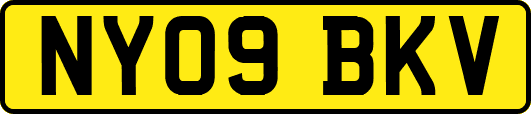 NY09BKV