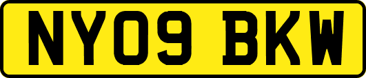 NY09BKW