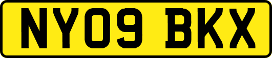 NY09BKX