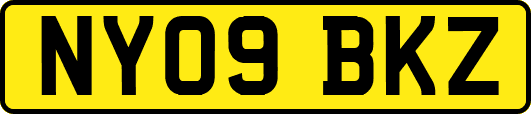 NY09BKZ