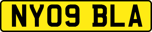 NY09BLA
