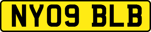 NY09BLB