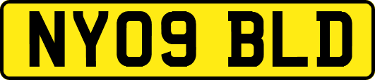 NY09BLD