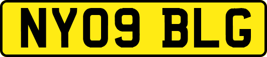 NY09BLG