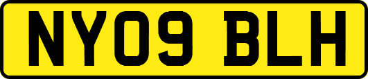 NY09BLH