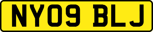 NY09BLJ