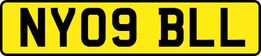 NY09BLL