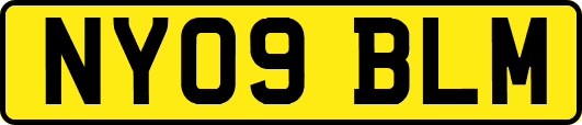 NY09BLM