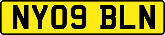 NY09BLN