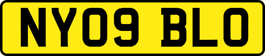 NY09BLO