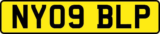 NY09BLP