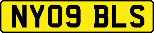 NY09BLS