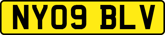 NY09BLV